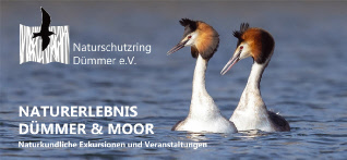 Jahresprogramm_Naturschutzring_2025.pdf